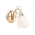 MW-Light № 256026901 (Флора) Светильник MW-Light № 256026901 (Флора) Светильник